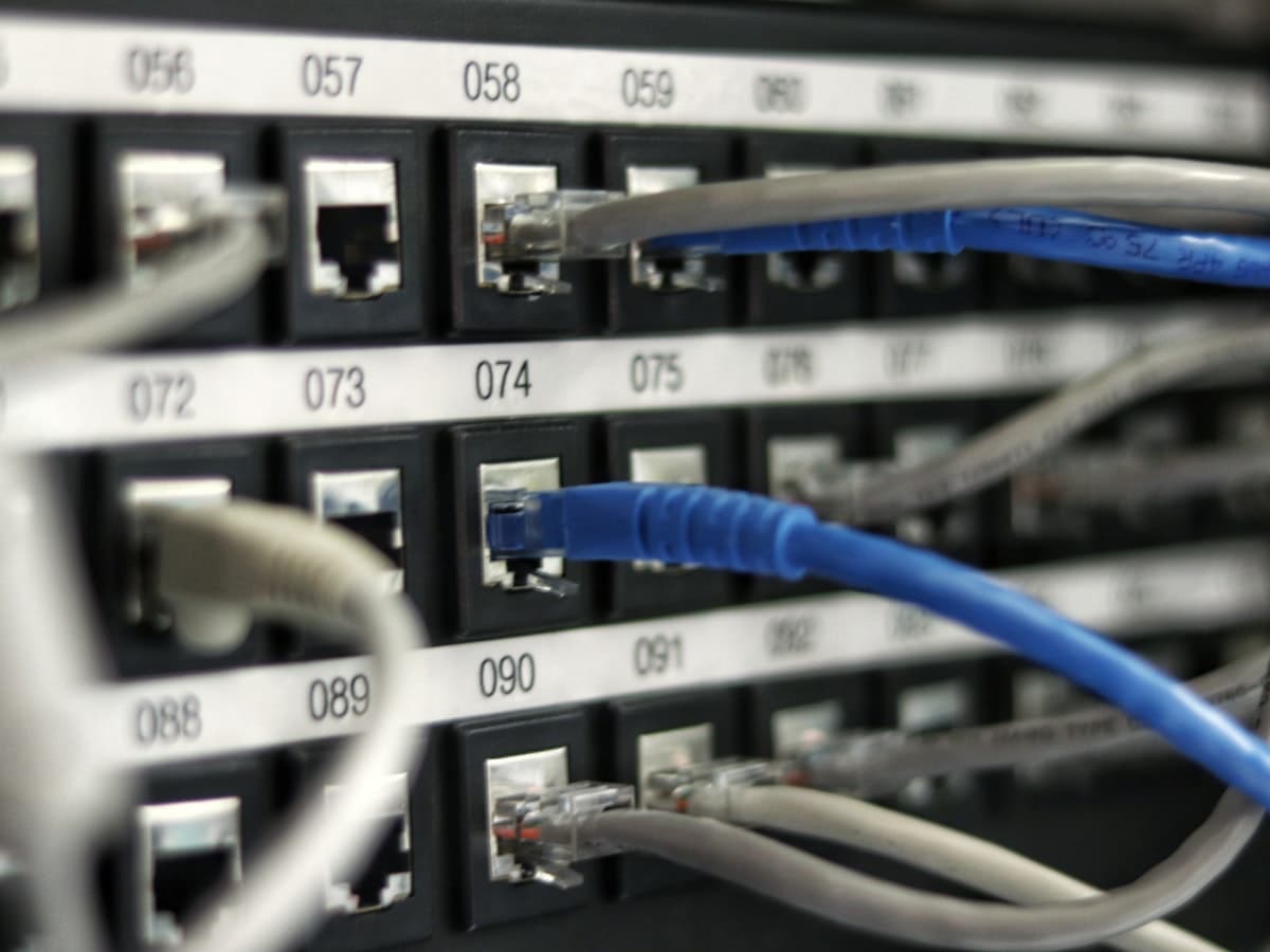 Network cables patched into a switch